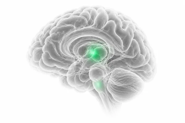 Comprehensive Neurosurgical Care