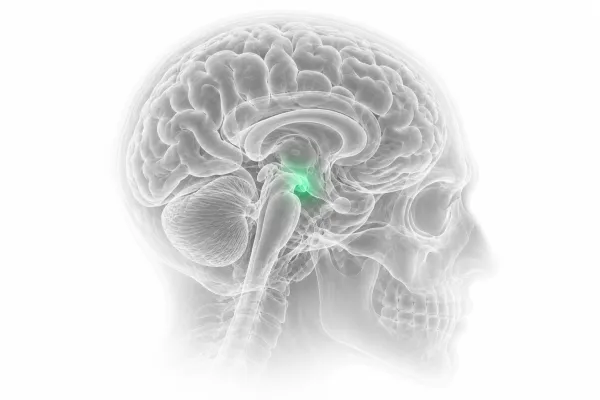 Complex Brain-Tumor Care