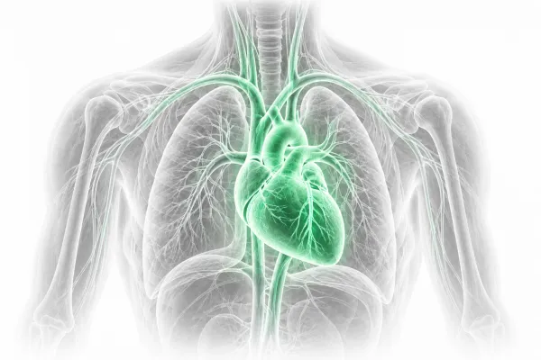 Cardiovascular and Interventional Care